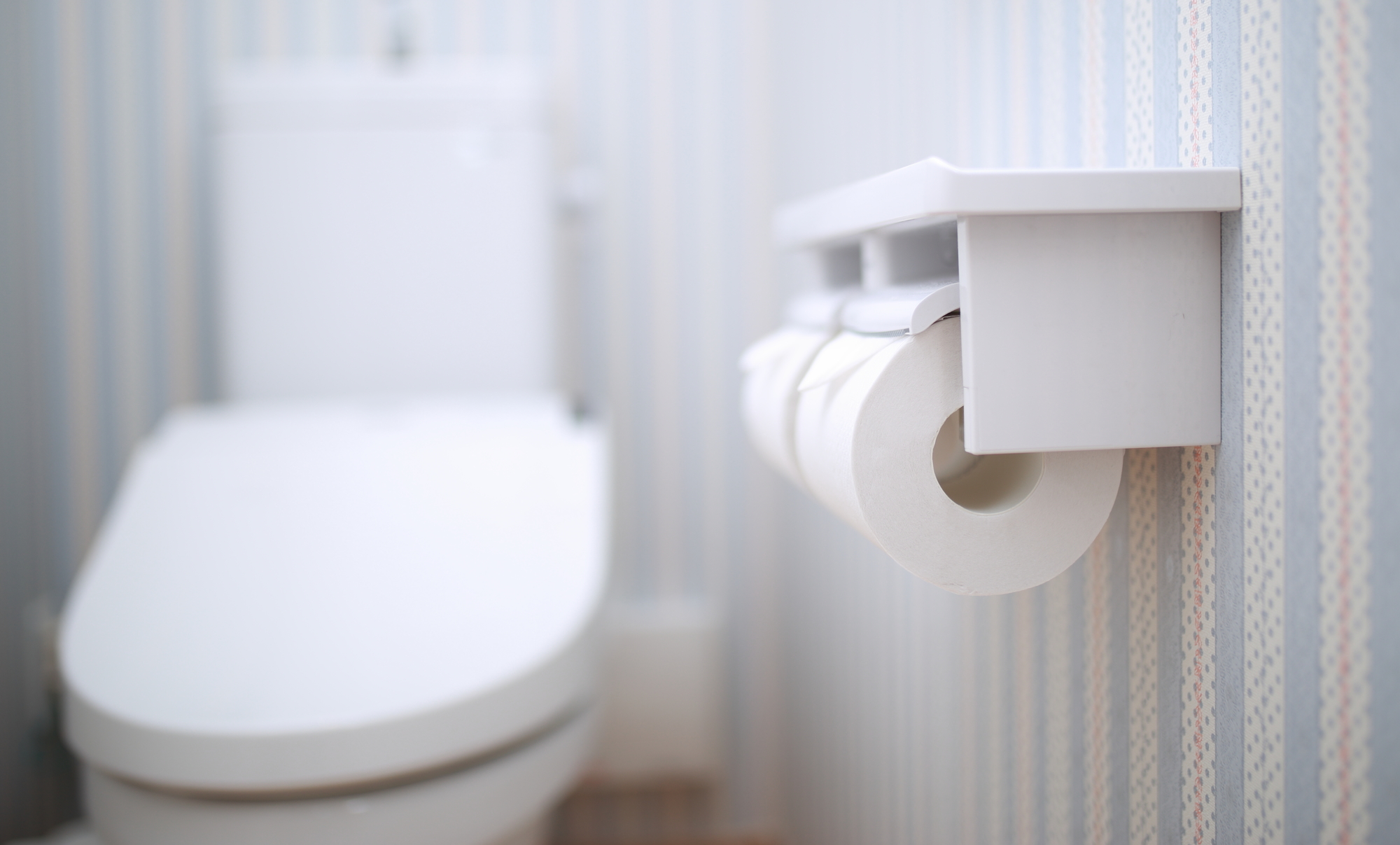 トイレの壁紙に付いた頑固なニオイや黄ばみを除去・予防する方法 WATER & LIFE
